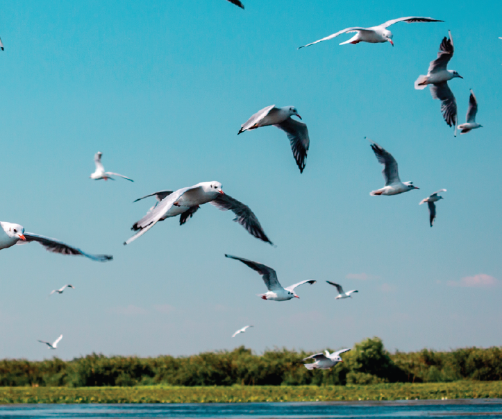 L’avenir d’une île laboratoire à Varennes inquiète