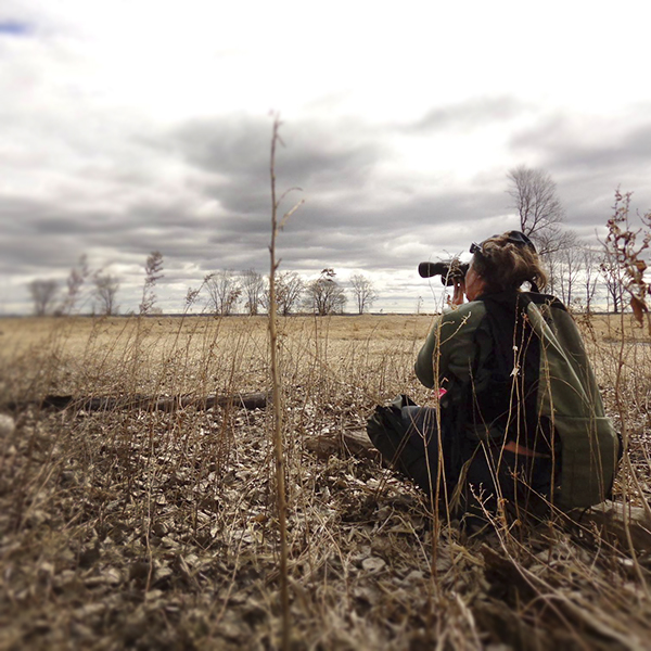 Une aide financière de 24 370 $ accordée au Comité ZIP des Seigneuries