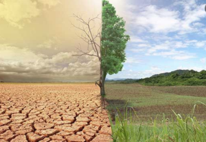 Les changements climatiques affectent déjà la santé des gens et perturbent les systèmes de santé