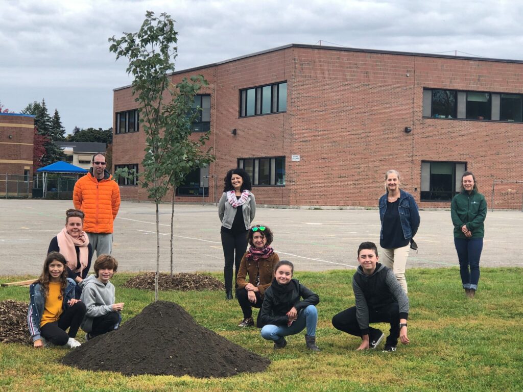 La cour de l’école Les Jeunes Découvreurs sera embellie