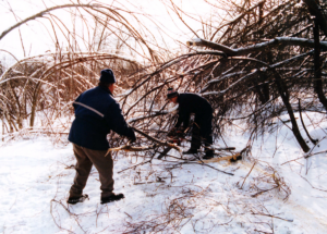 La crise du verglas, 25 ans plus tard: entraide et courage des agriculteurs de la Montéégie
