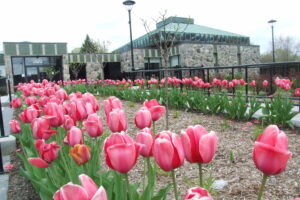 Boucherville enregistre  un surplus de 4,8 M $