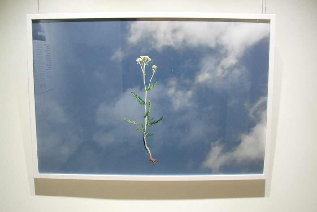 L’exposition Intérieurs de l’artiste Sophie Aubry prend place à la galerie du Café centre d’art