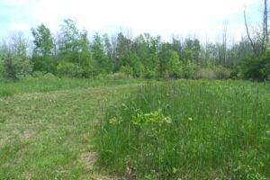 Une terre de 26,6 hectares devient propriété de la Ville de Boucherville