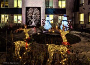 La Fondation Jeanne-Crevier illumine les cœurs