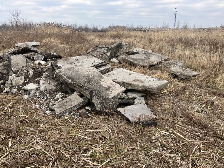 Dépôts sauvages dans le boisé du Tremblay