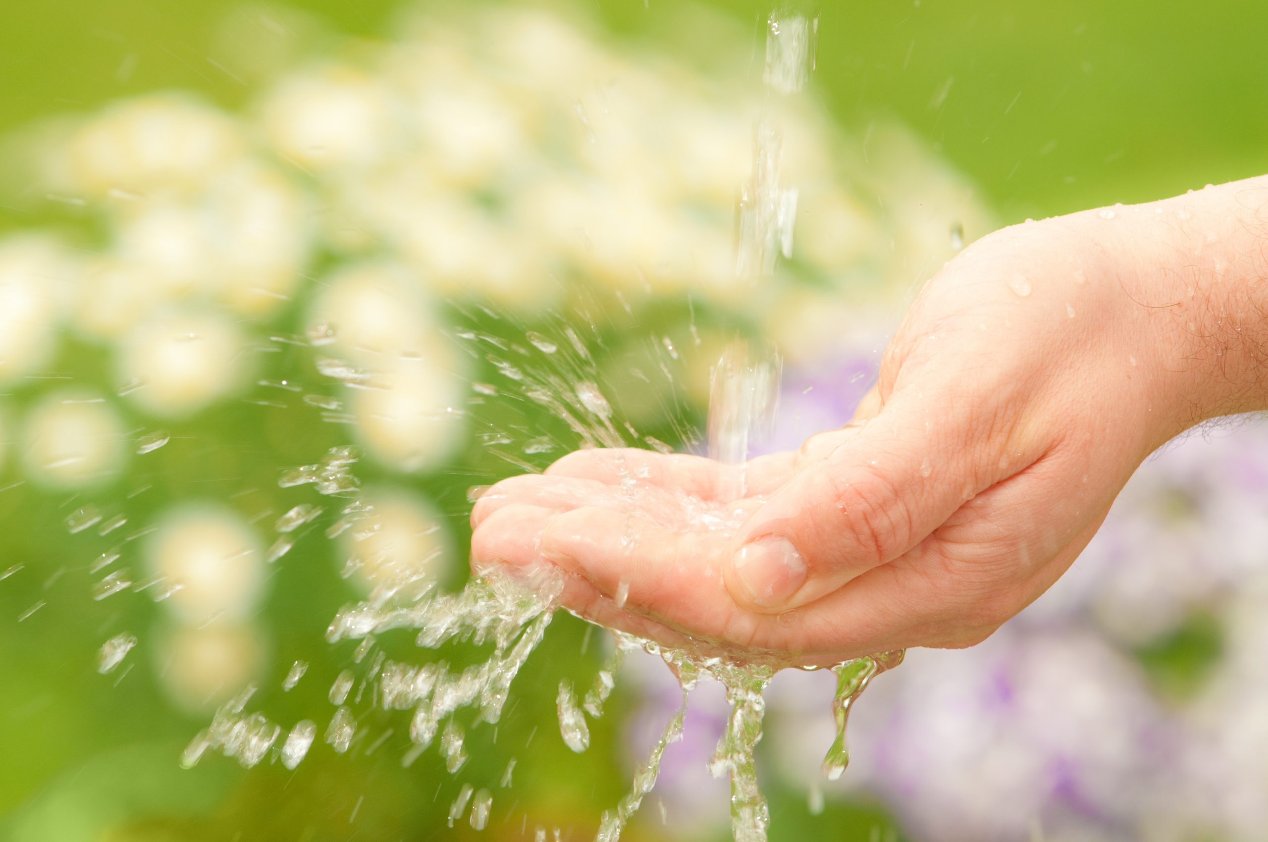 Pas de niaisage avec l’arrosage!