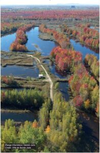 Sainte-Julie veut mettre en valeur le parc des Étangs-Antoine-Charlebois et le lac des Outardes
