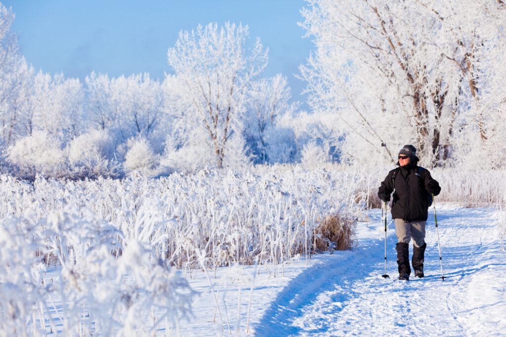 Achalandage record au parc national des Îles-de-Boucherville depuis la pandémie