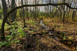 La CMM interdit toute construction et travaux dans les milieux naturels d’intéêt