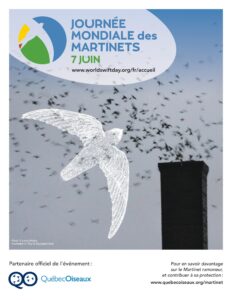 Le martinet ramoneur est-il menacé dans le Vieux-Boucherville?