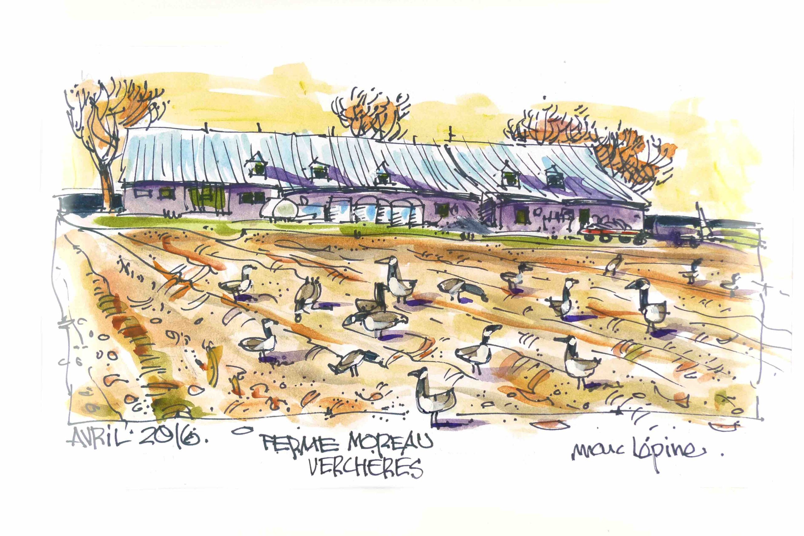 Exposition de l&rsquo;illustrateur Marc Lépine à la bibliothèque de Verchères