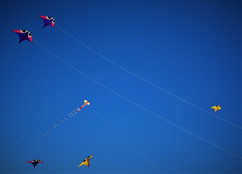 Le soleil était au rendez-vous à La fête des cerfs-volants
