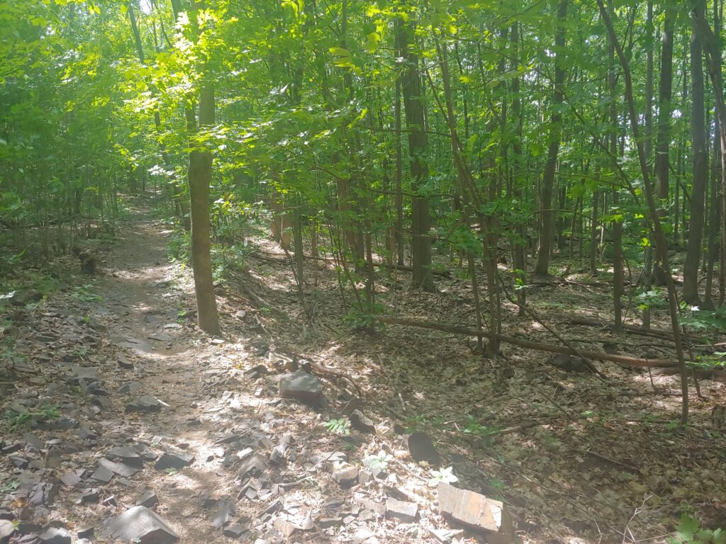 Une demande de financement à la CMM pour le projet d’acquisition des lots au Domaine des Hauts-Bois