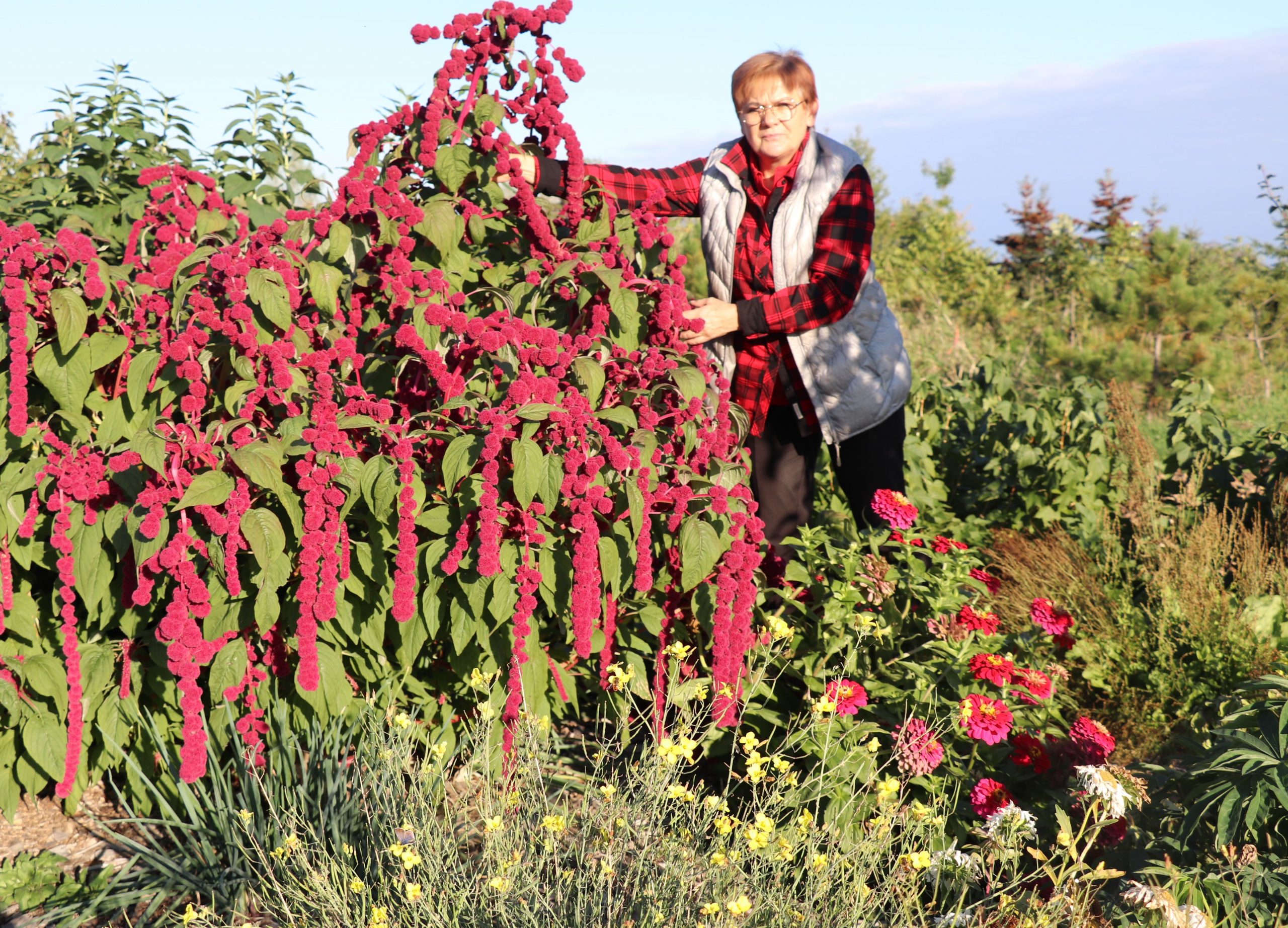Des jardins pour nourrir, mais pour guérir aussi