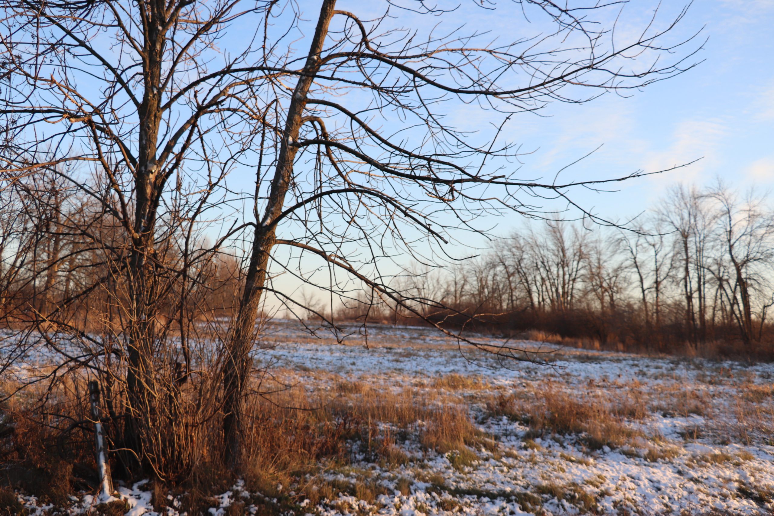 Au cœur du secteur du Parchemin : la Ville de Boucherville acquiert près de 2 millions de pieds carrés pour créer une éserve naturelle