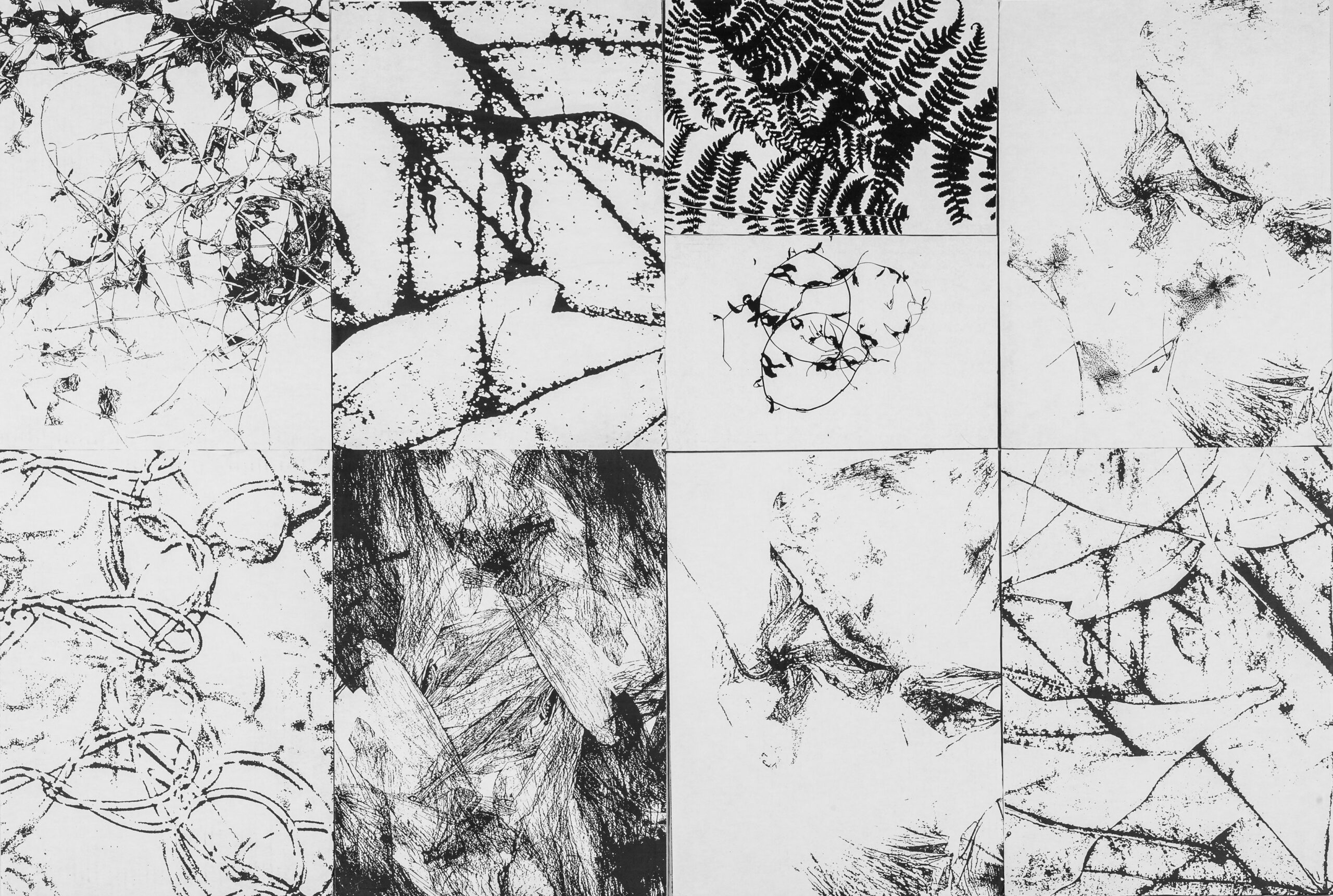 Pierrette Richer propose l’exposition Mémoire en transparence à la Galerie Vincent-d’Indy