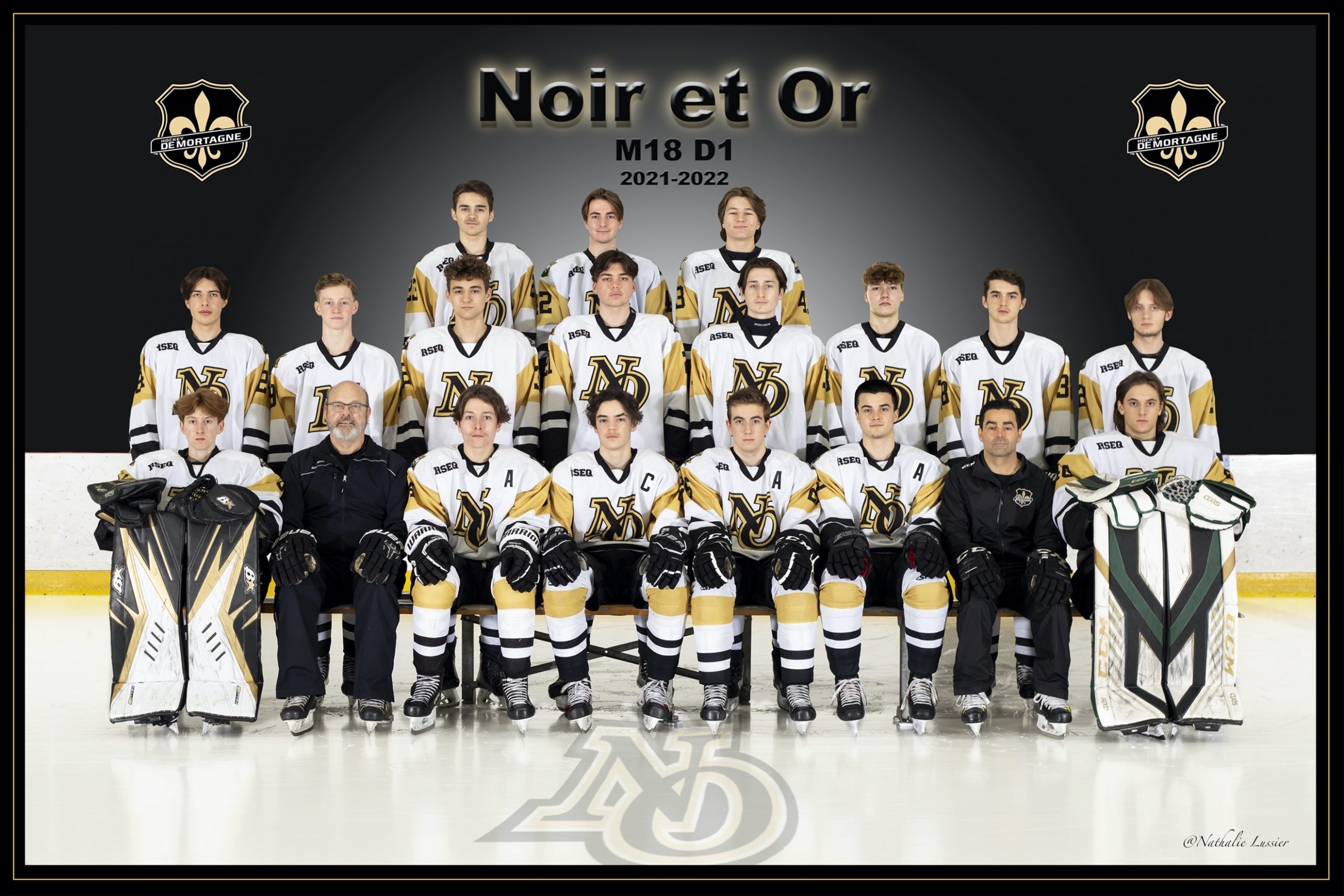 Une saison incroyable pour les hockeyeurs finissants de l’école De Mortagne