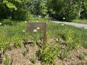 Sentier Haïkus : pour une randonnée littéraire à Boucherville