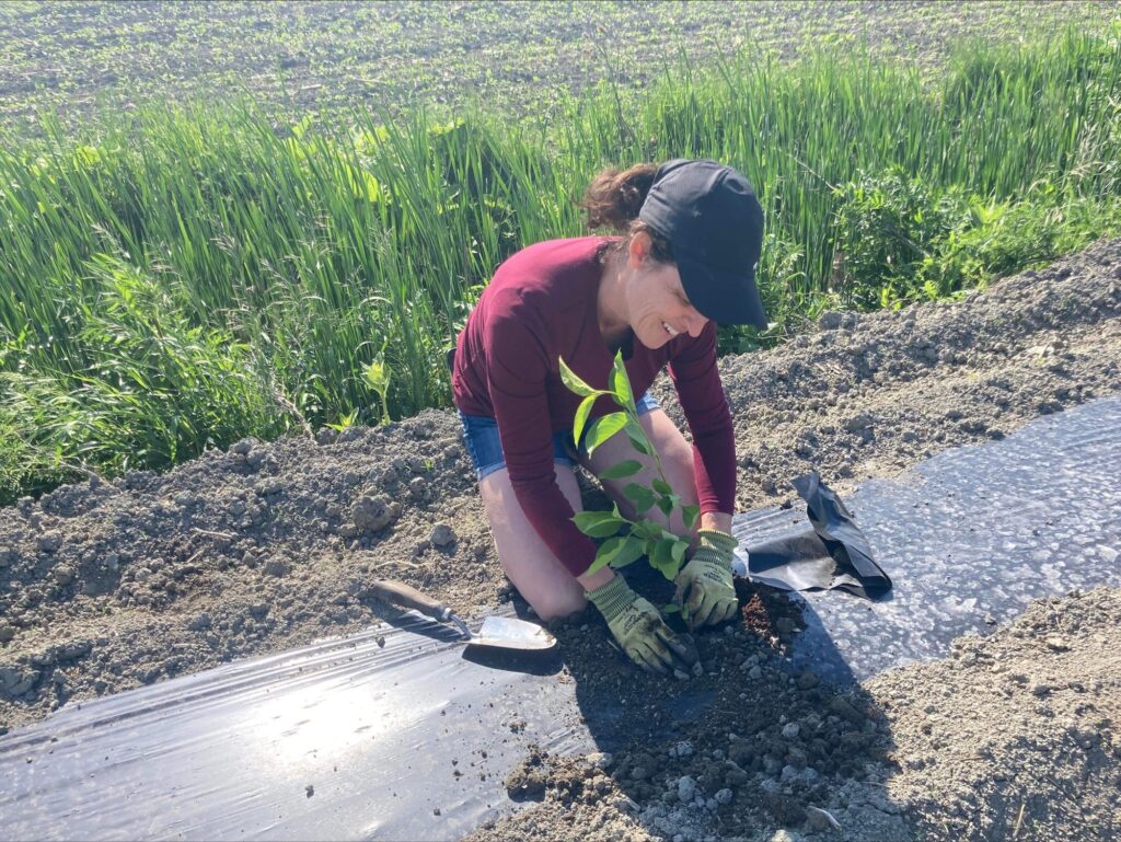 Près de 22 hectares de terres agricoles seront aménagés en 2023 afin de préserver l’agriculture grâce au programme ALUS Montéégie