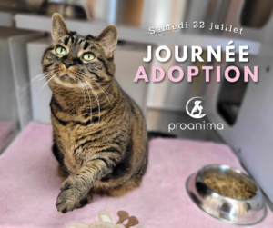 Journée adoption chez Proanima en éponse à la surcharge d’animaux
