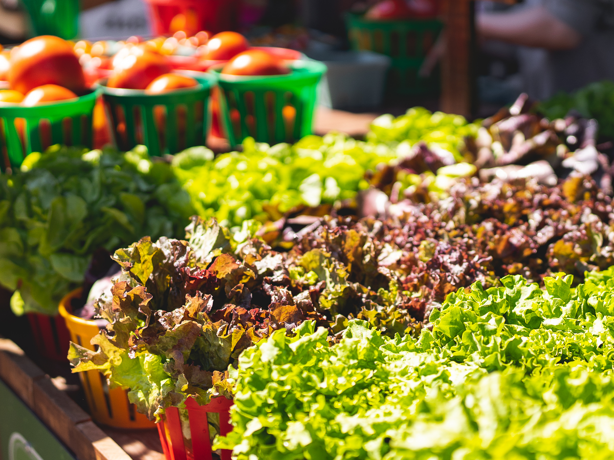La saison du marché public commence