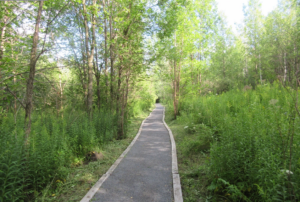 Boisé du Tremblay : Boucherville accorde 70 000 $ pour l’entretien des sentiers