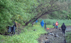 Activité de nettoyage des berges du fleuve Saint-Laurent à Boucherville