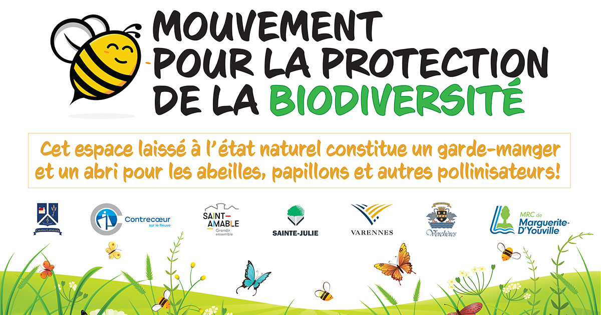 Les municipalités de la MRC s’unissent à nouveau pour aider les insectes pollinisateurs!