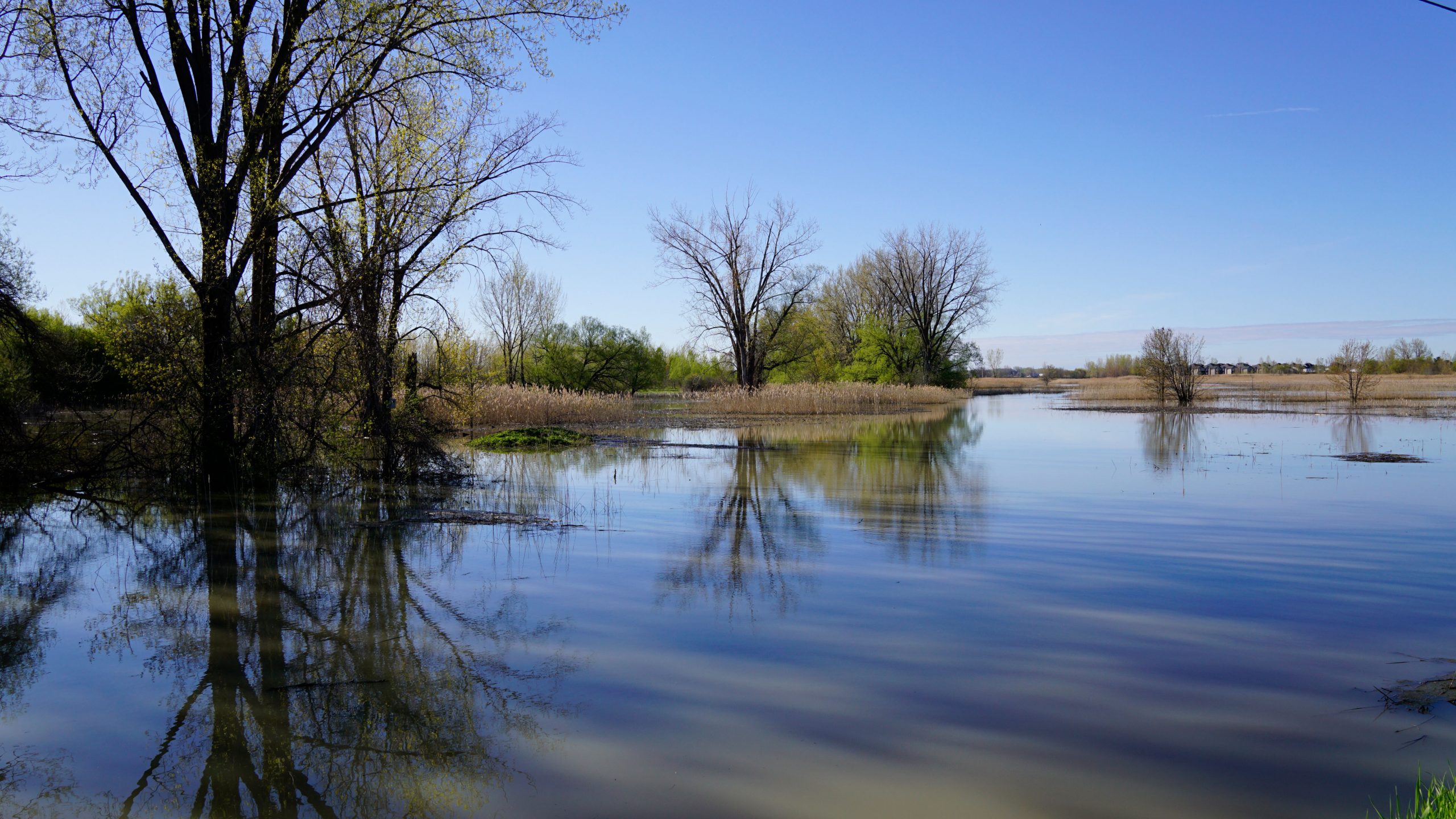 À la découverte du parc de la Frayère!