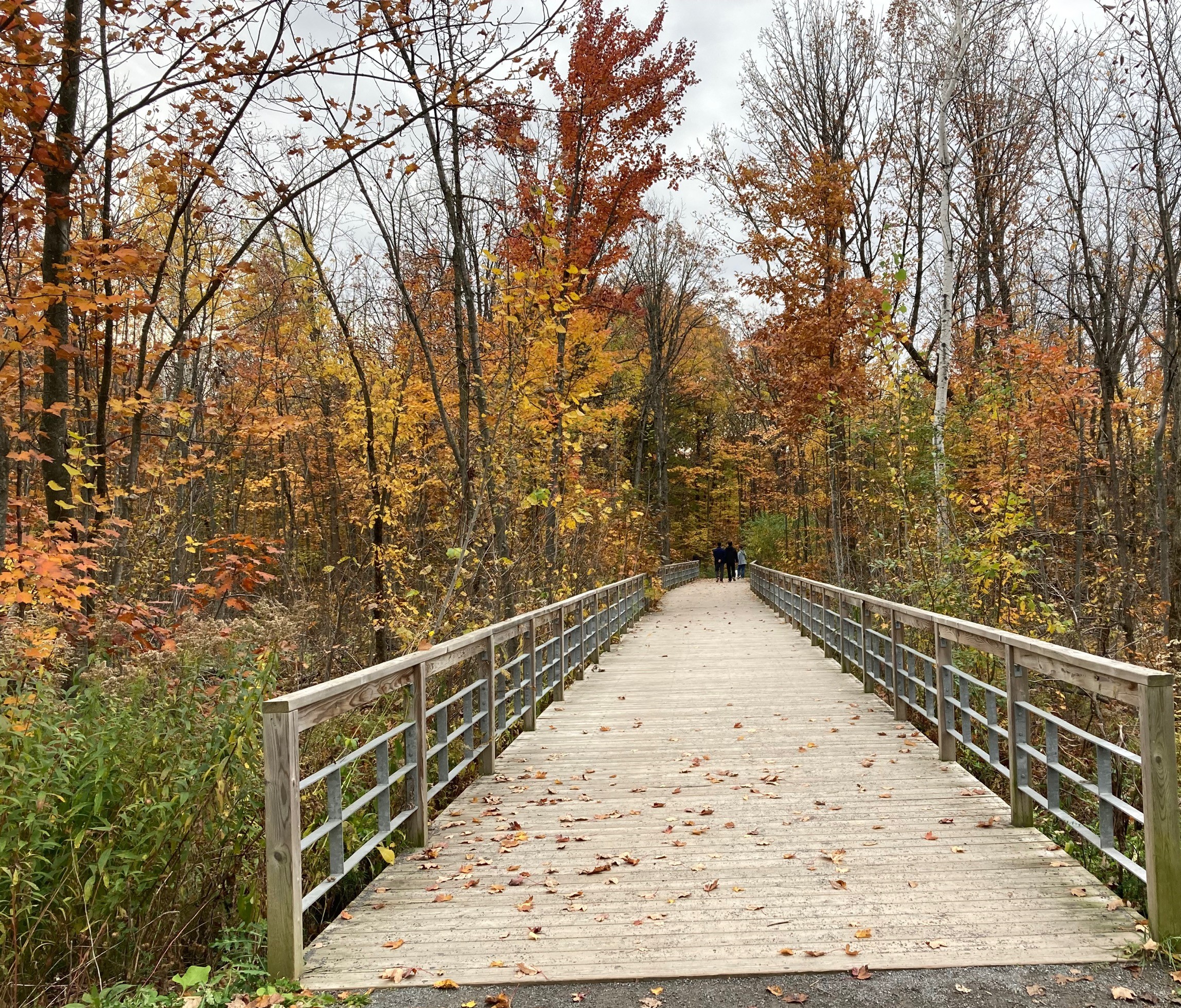12,500 pieds carrés de plus pour le Boisé du Tremblay