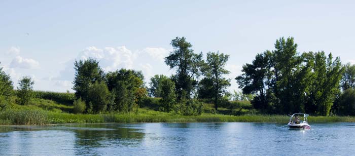 Île Bouchard : sensibilisation aux enjeux aviaires en milieu agricole et aménagement de leur habitat