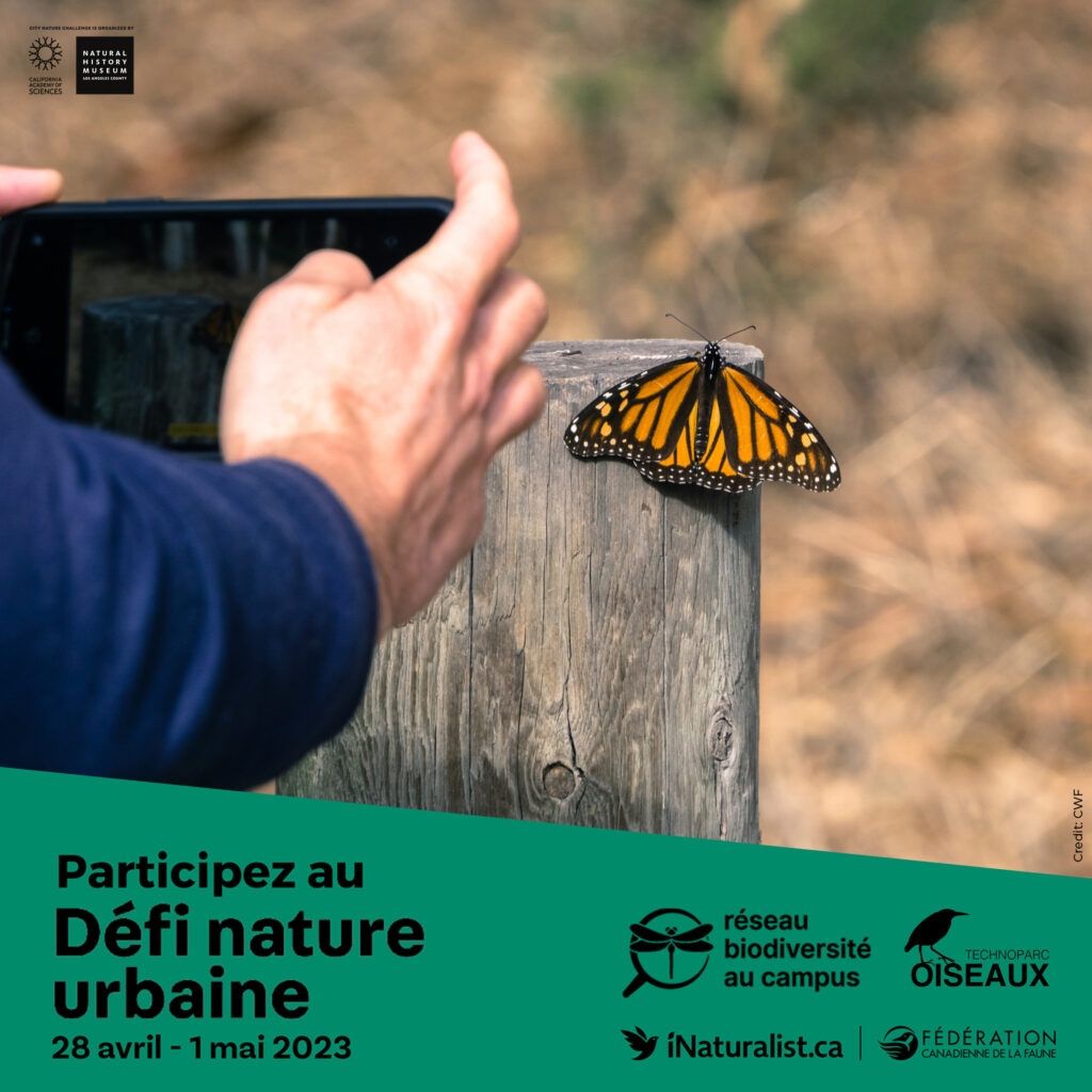 Le Défi nature urbaine est de retour dans la Grande égion de Montréal