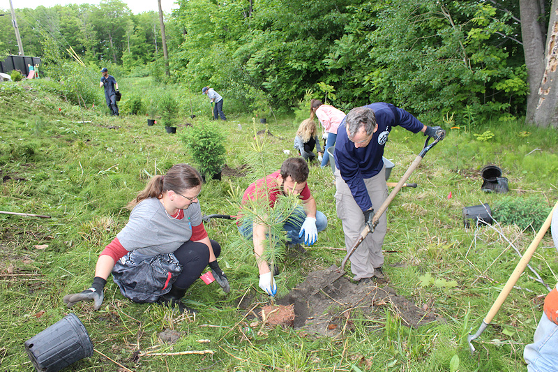 Contrecœur fait état de l’avancement de son Plan d’action en développement durable
