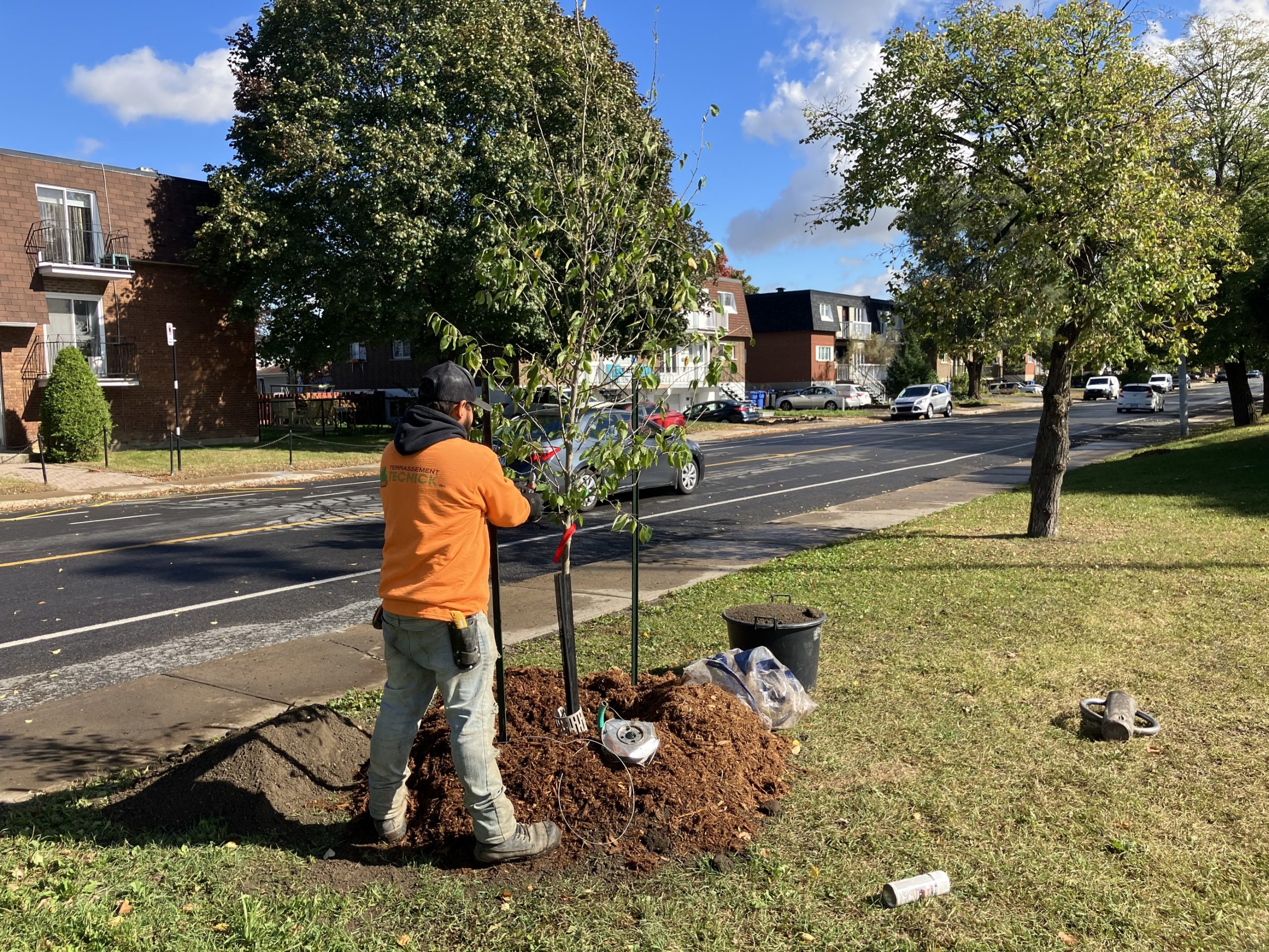 2600 arbres de plus sur le territoire de Longueuil, cet automne