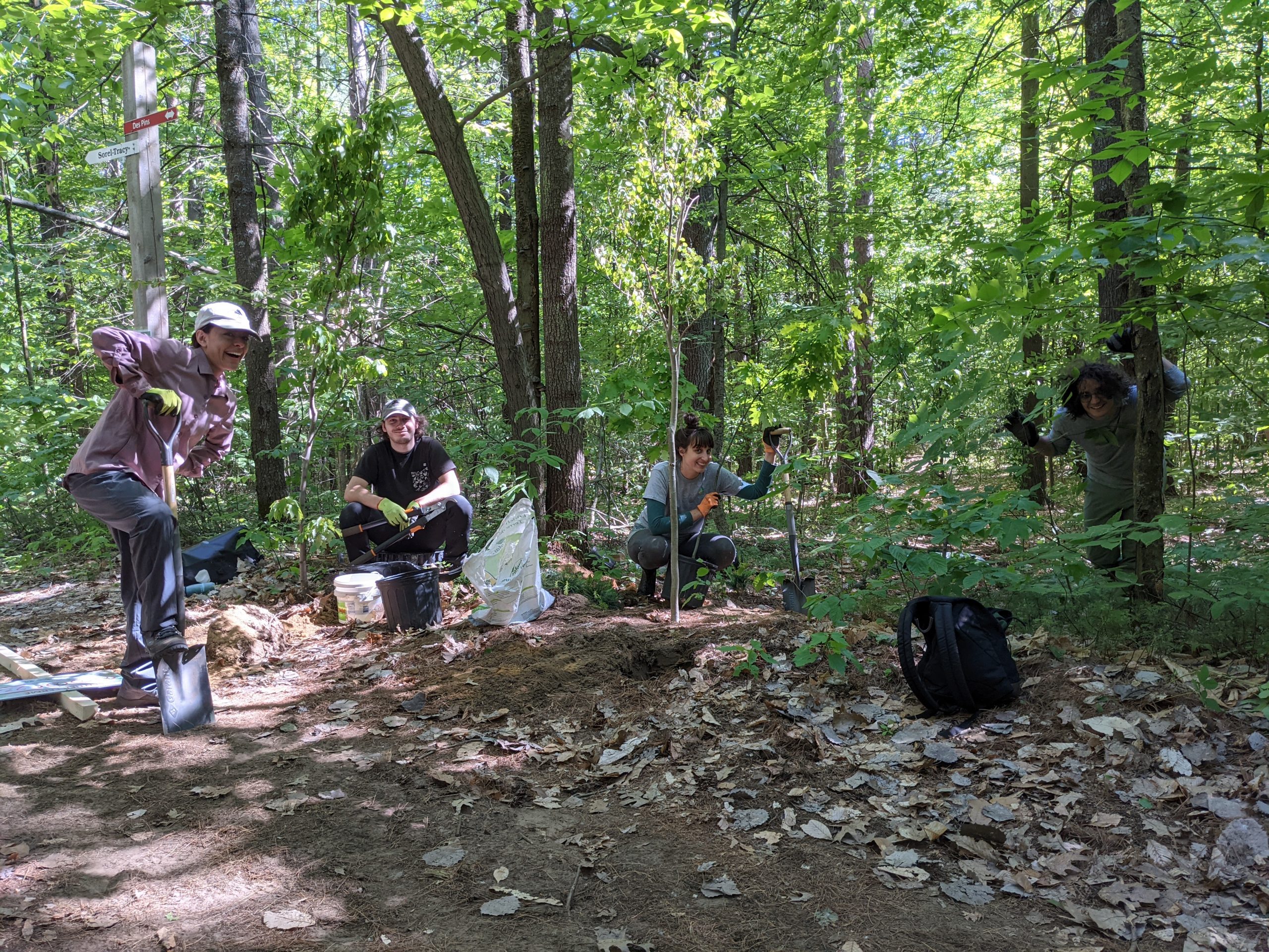 Sentiers nouvellement restaurés et éaménagés au Parc égional des Grèves