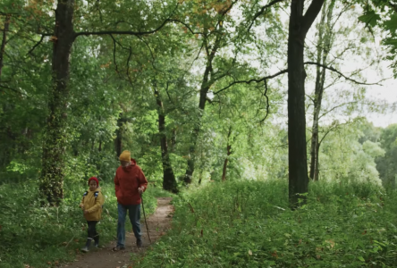 Sainte-Julie adopte l’acte de servitude de conservation dans le secteur de la rue de la Falaise