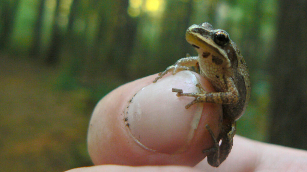 Port de Montréal à Contrecœur: Xavier Barsalou Duval demande à être rassuré quant aux intentions d’Ottawa