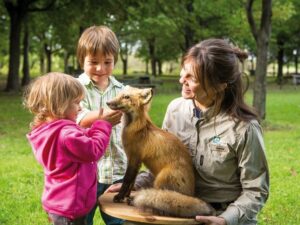 Découvrez la passion d’un guide : la richesse faunique des îles de Boucherville