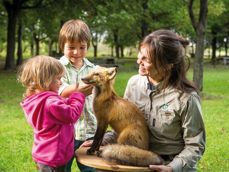 Découvrez la passion d’un guide : la richesse faunique des îles de Boucherville