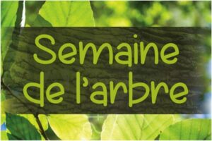 Don d&rsquo;arbres au garage municipal de Saint-Amable