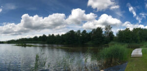 La protection de nos boisés: un engagement de la Voix des Citoyens-Équipe Mario Lemay