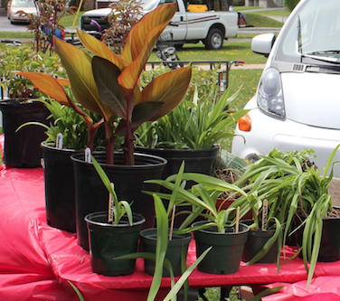 Soulignez l’arrivée des belles journées avec une nouveauté sur votre terrain!