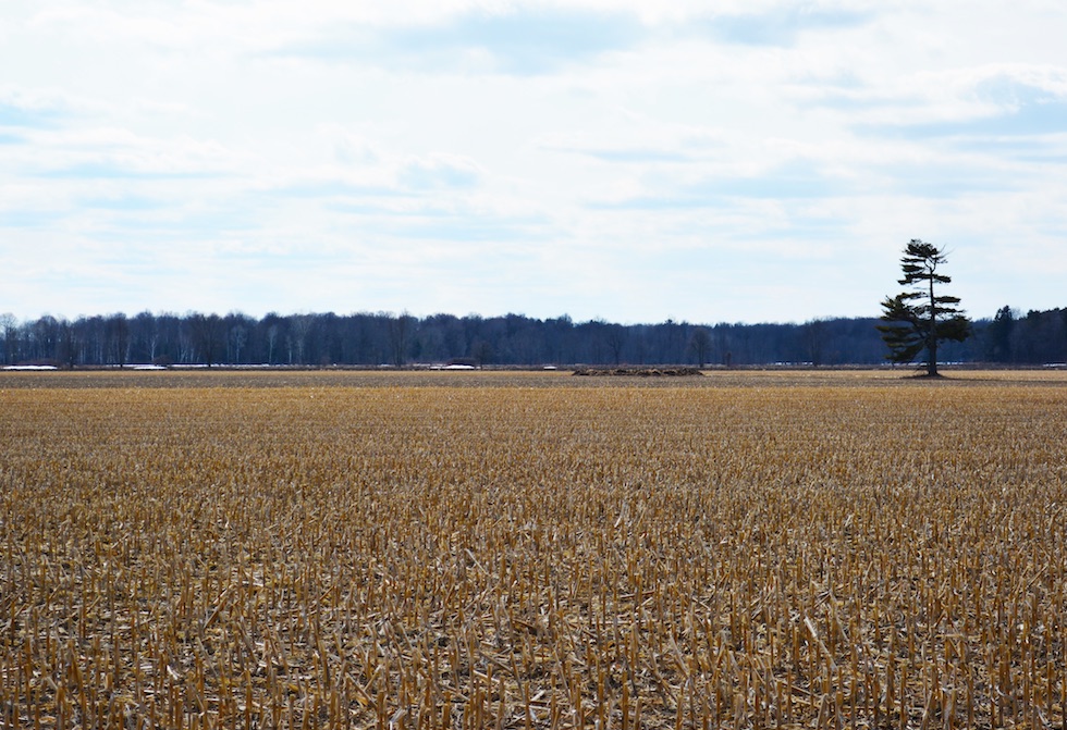 400 agriculteurs de la Montéégie sensibilisent leur député à l’importance d’amorcer une refonte