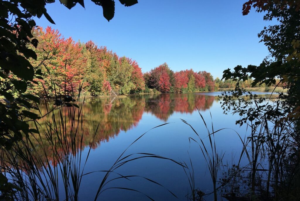 Sainte-Julie rayonne à l’Agora métropolitaine