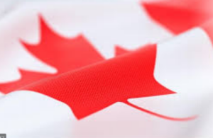 Tournée de consultations du Bloc au Québec en vue du premier budget du gouvernement Trudeau