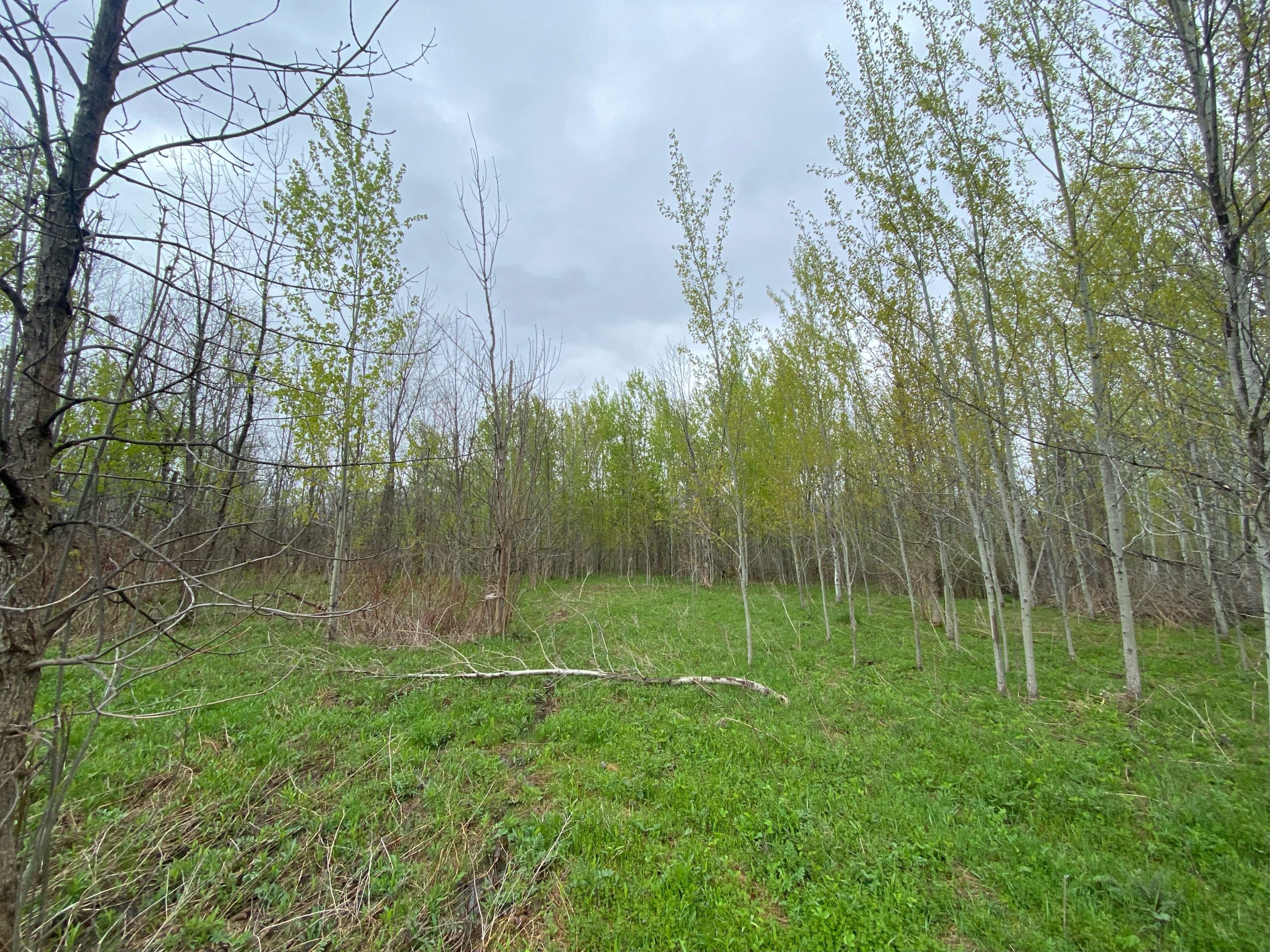 Sainte-Julie fait l’acquisition de six hectares près du parc du Sorbier
