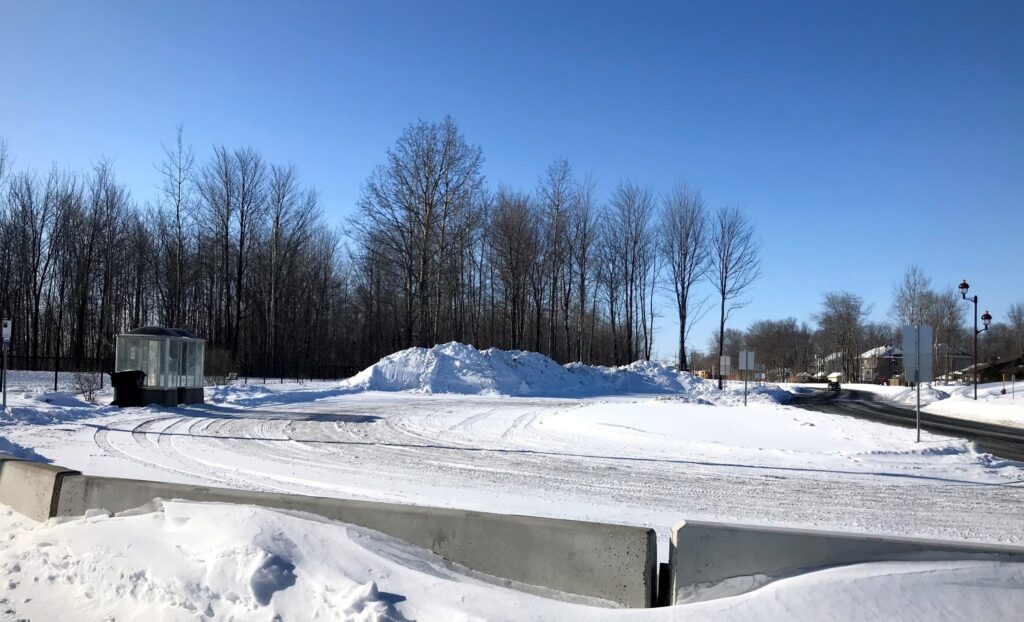 Aménagement du terminus de Contrecœur: remplacement, conservation et entretien d’arbres