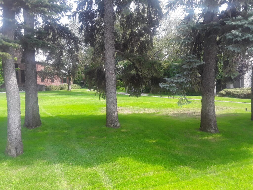 Boucherville : éférendum pour subdiviser un terrain sur Marie-Victorin