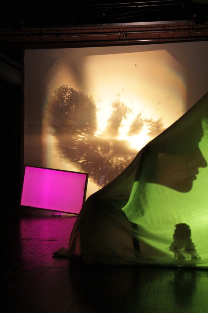 Une campagne de sociofinancement : un projet théâtral onirique et ludique